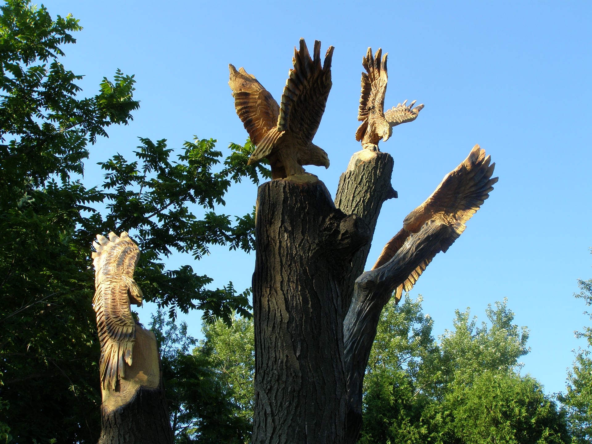 Chainsaw, Carving, Hawks