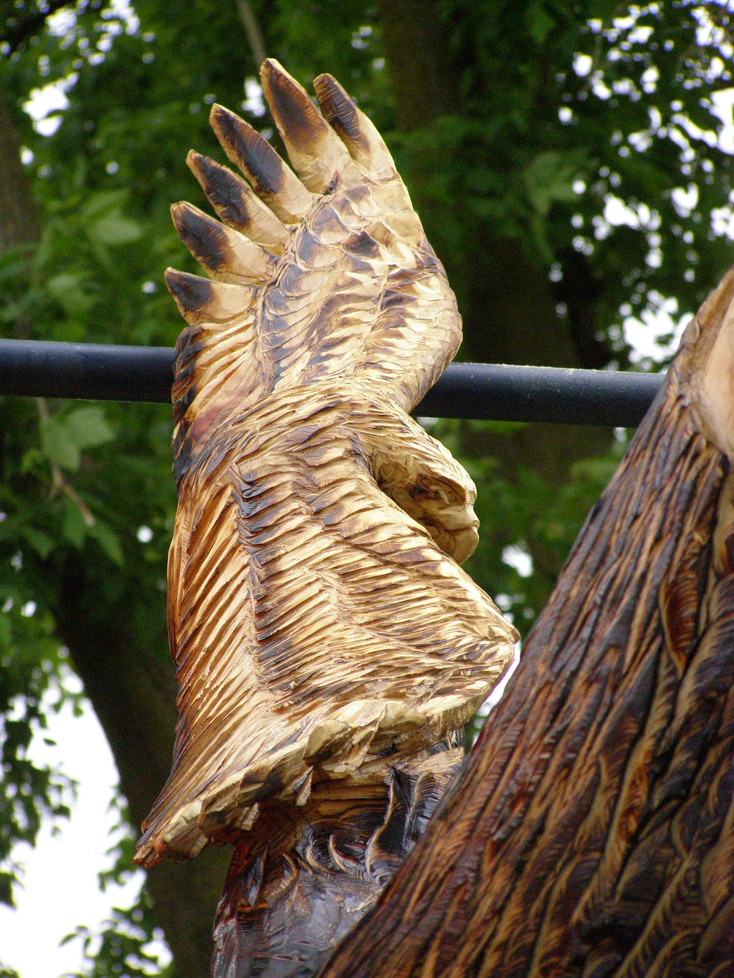 Carving, Chainsaw, Hawk